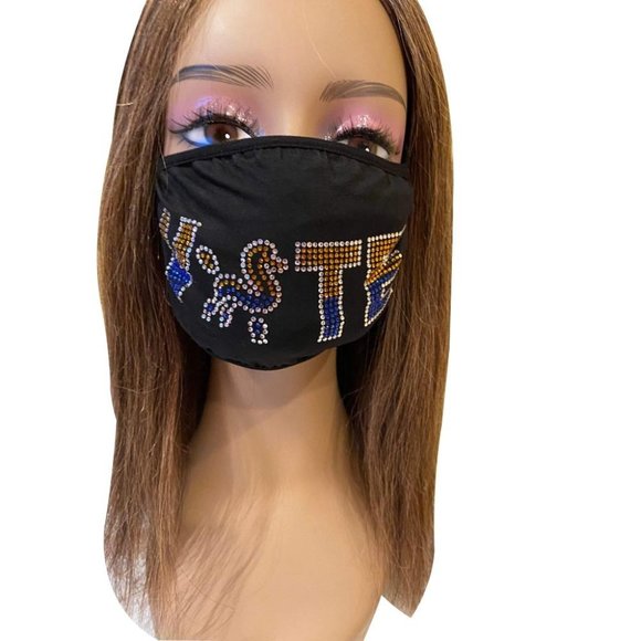 Sigma Gamma Rho SGRho VOTE Rhinestone Bling Face Mask - Picture 1 of 11